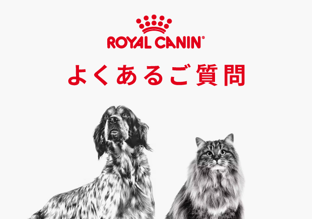 よくあるご質問