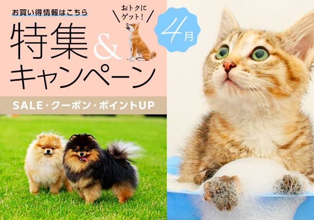 特集・キャンペーン