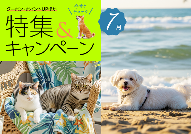 特集・キャンペーン