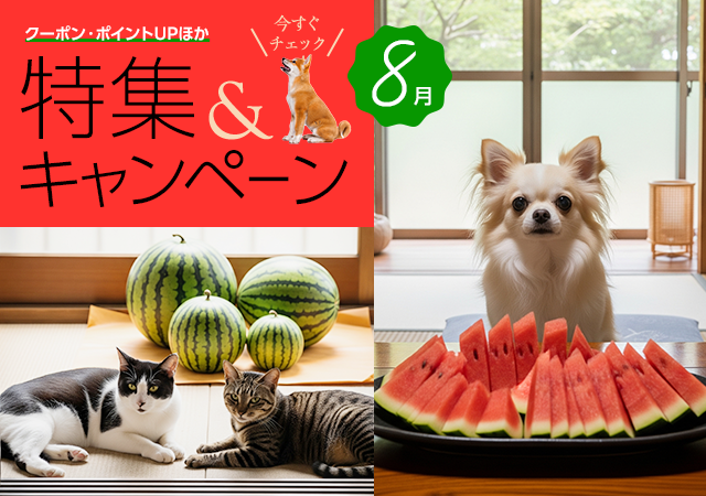 特集・キャンペーン