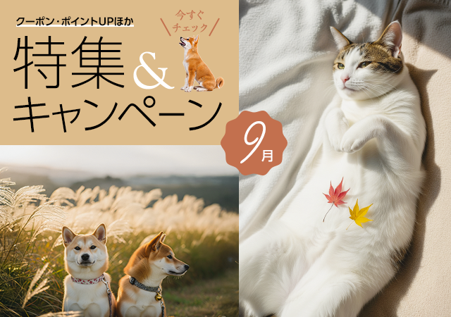 特集・キャンペーン