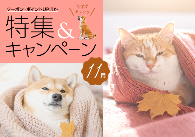 特集・キャンペーン