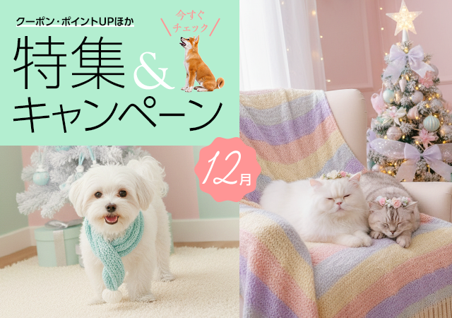 特集・キャンペーン