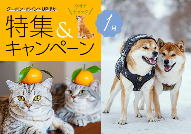 特集・キャンペーン