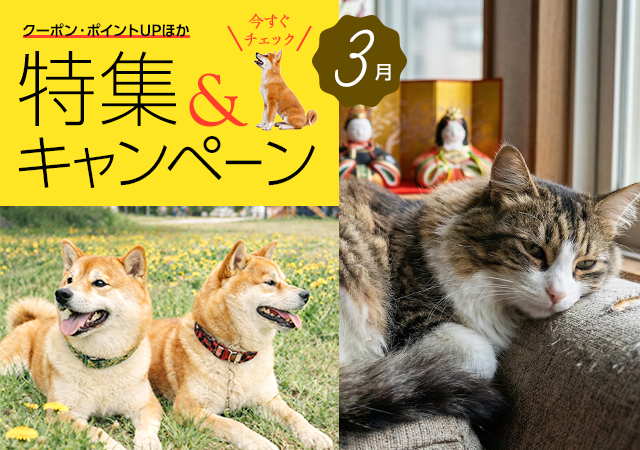 特集・キャンペーン