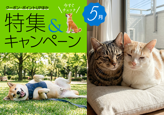 特集・キャンペーン