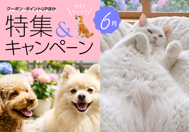 特集・キャンペーン