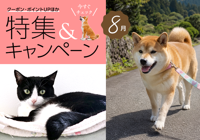 特集・キャンペーン