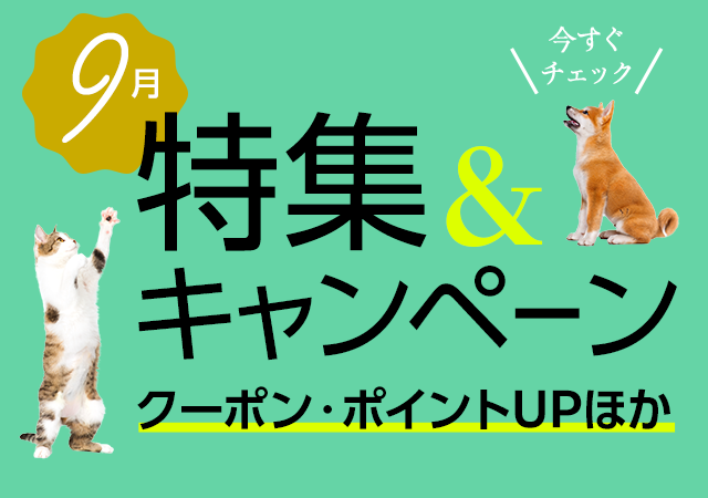特集・キャンペーン