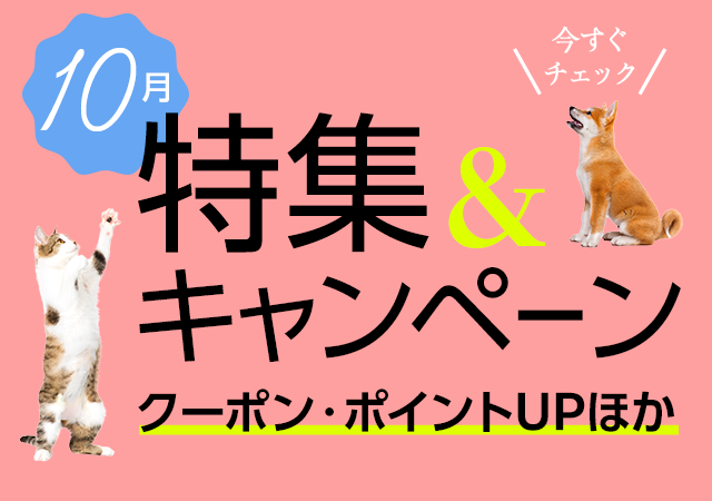 特集・キャンペーン