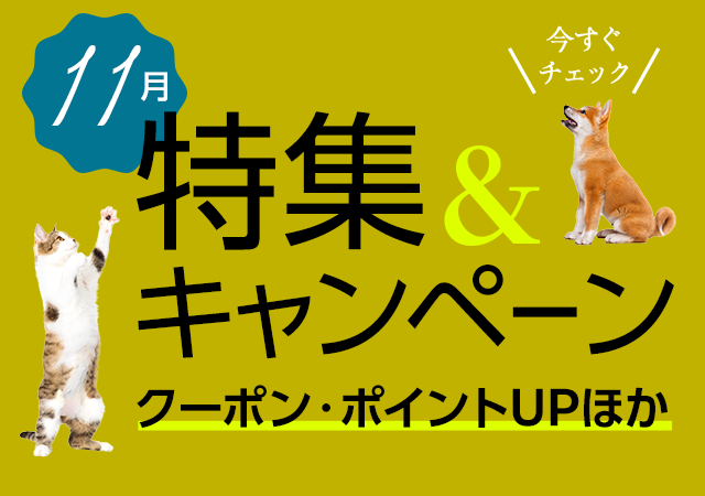 特集・キャンペーン