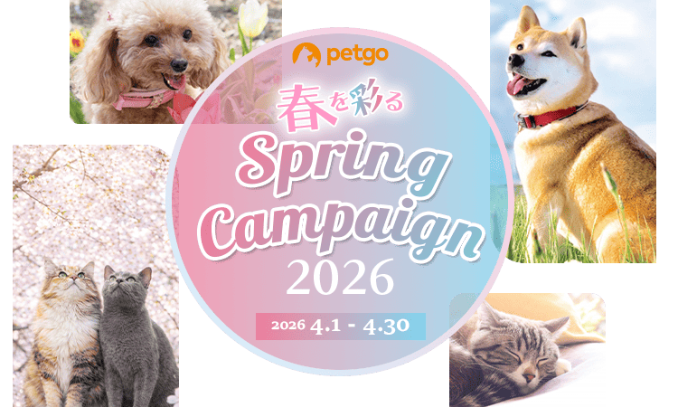 春を彩る Spring Campaign 2026