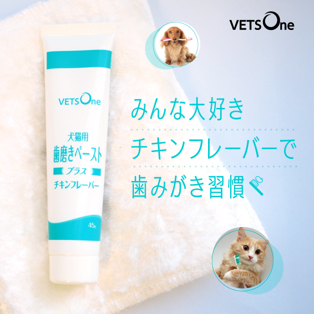 ベッツワン犬猫用歯磨きペーストプラス（チキンフレーバー） | ペットゴー