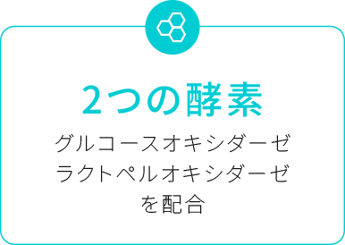 ポイント2:2つの酵素