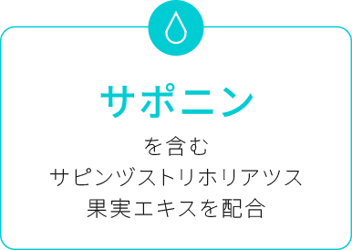 ポイント3:サポニン
