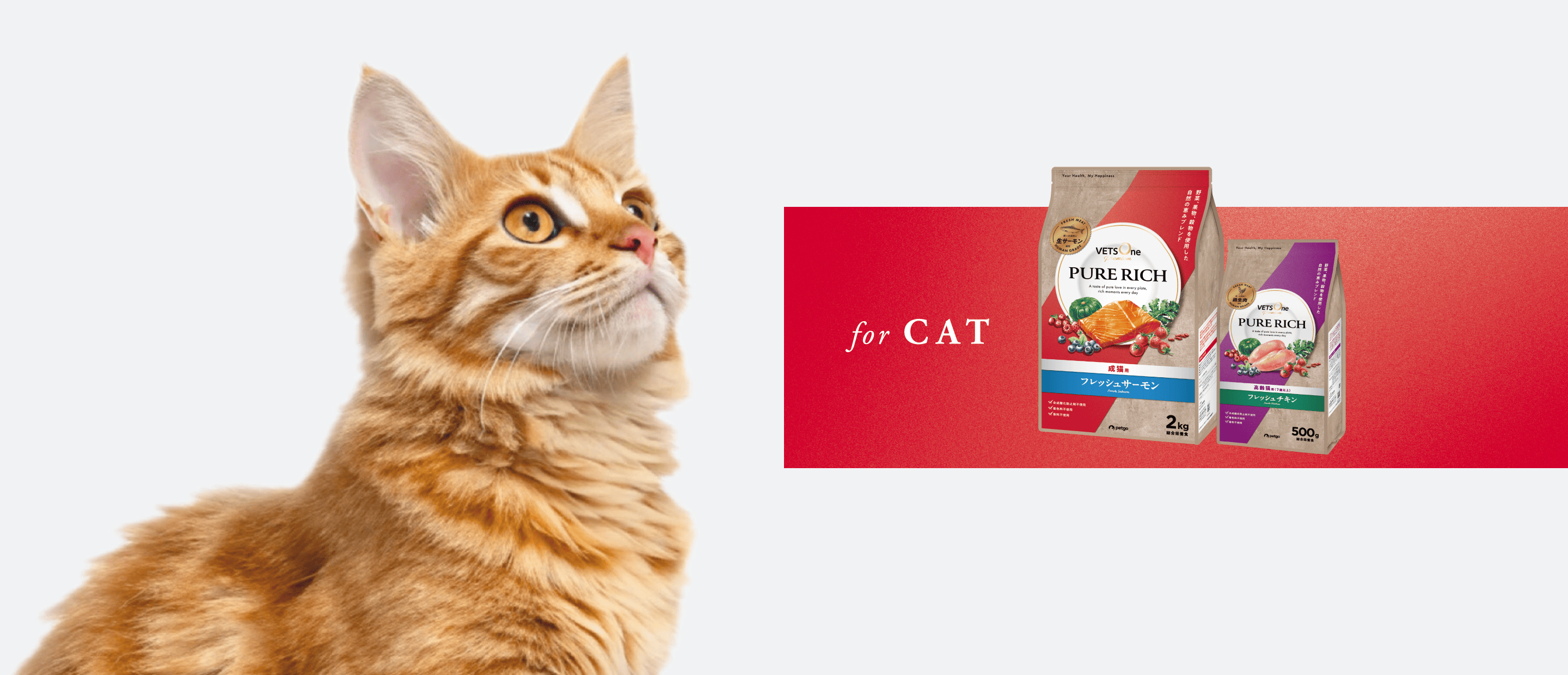 for CAT