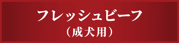 フレッシュビーフ（成犬用）