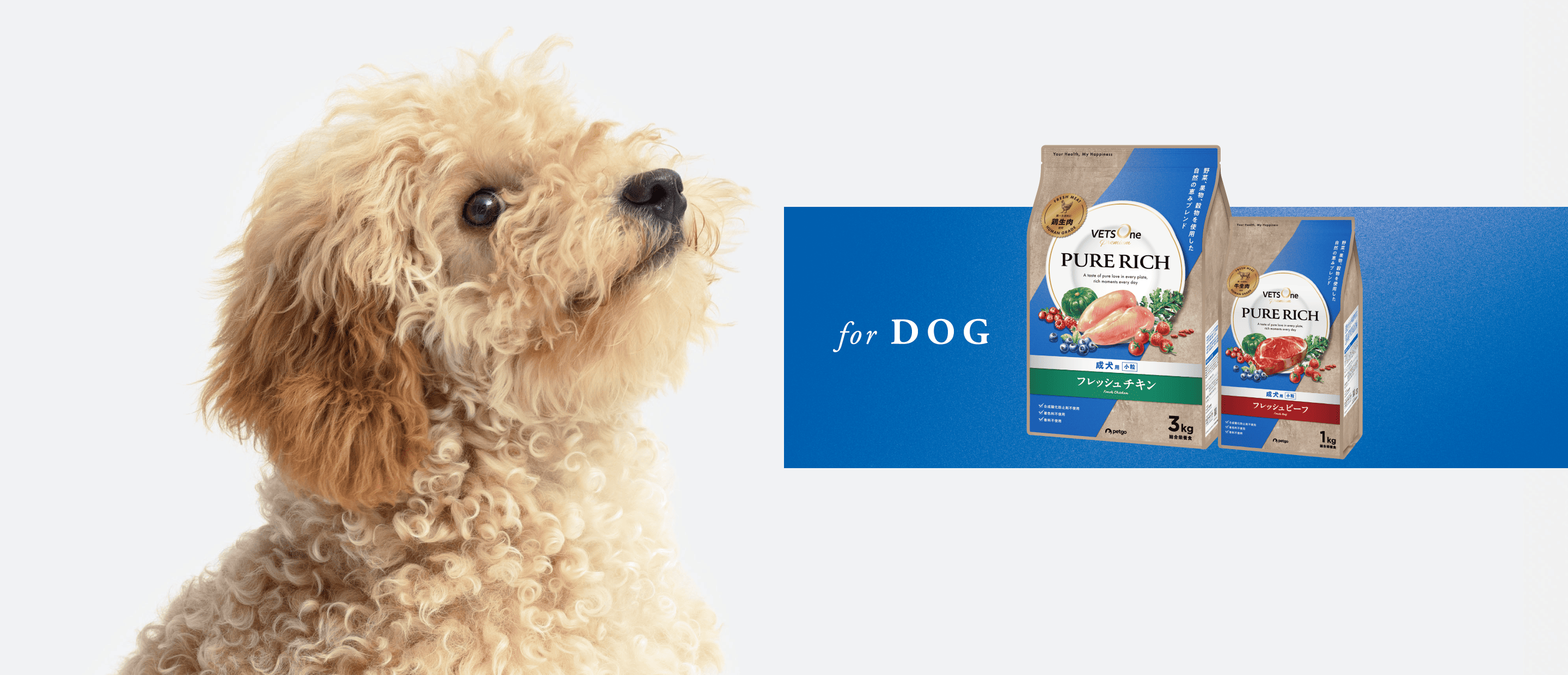 for DOG