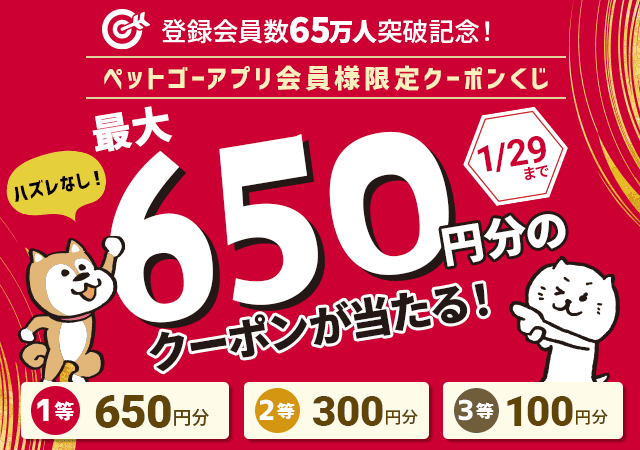 最大650円クーポンが当たるクーポンくじ | ペットゴー