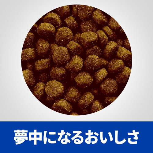 ヒルズ 犬用 z/d ultra 食物アレルギー&皮膚ケア ドライ 小粒 1kg(リニューアル前商品) ヒルズ 犬用 z/d ultra 食物アレルギー&皮膚ケア ドライ 小粒 1kg(リニューアル前商品)