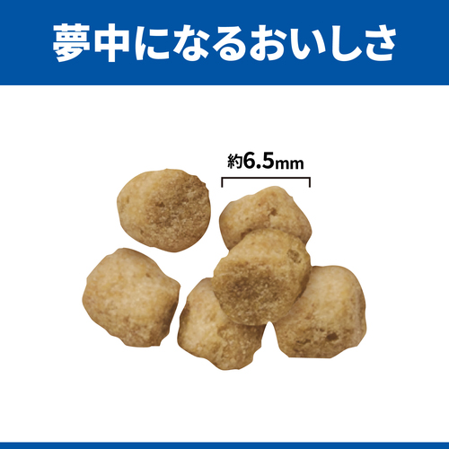 【大容量:1.6kg 】ダイエットにも最適な大好評珍味 前浜するめ足 大容量:1.6kg】ダイエットにも最適な大好評珍味 前浜するめ足