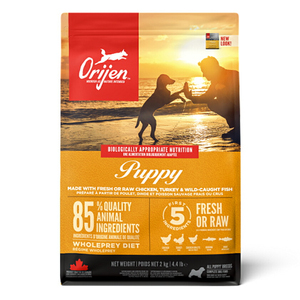 Orijen(オリジン) パピー 2kg