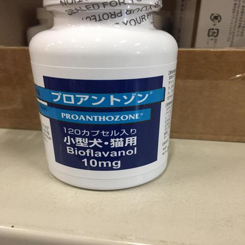 掲載商品名テストペットゴー