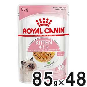 【送料無料】ロイヤルカナン FHN ウェット キトン ゼリー 85g×48袋【まとめ買い】