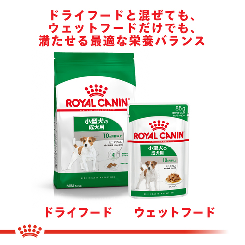 ROYAL CANIN 小型犬 成犬用 ウエットフード 85g×48個 【公式通販】