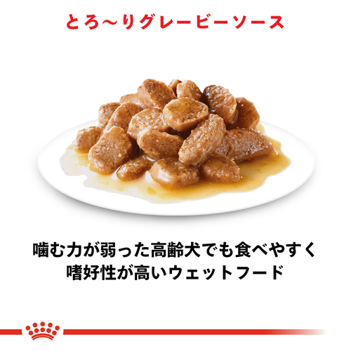 送料無料】ロイヤルカナン SHN ウェット 小型犬用 ミニエイジング 高齢