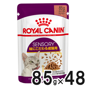 【送料無料】ロイヤルカナン FHN-WET センサリーテイスト 味にこだわる成猫用 85g×48【まとめ買い】