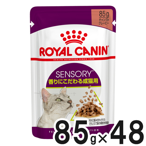 【送料無料】ロイヤルカナン FHN-WET センサリースメル 香りにこだわる成猫用 85g×48【まとめ買い】
