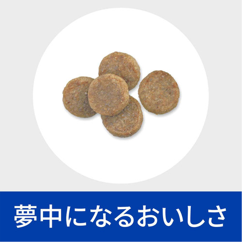 2袋セット】ヒルズ 食事療法食 犬用 k/d ケーディー＋モビリティ 腎臓