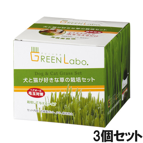 エイムクリエイツ 犬と猫が好きな草の栽培セット×3個【まとめ買い】