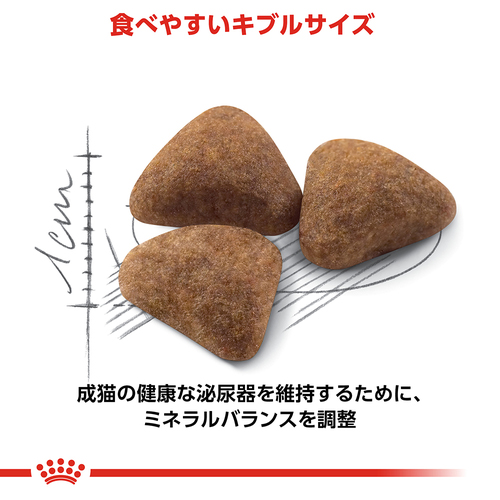 ロイヤルカナン FHN インドア 4kg | ペットゴー