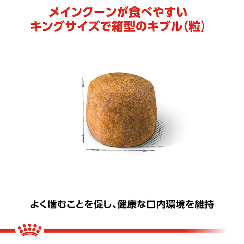 送料無料】ロイヤルカナン FBN メインクーン 成猫用 2kg | ペットゴー