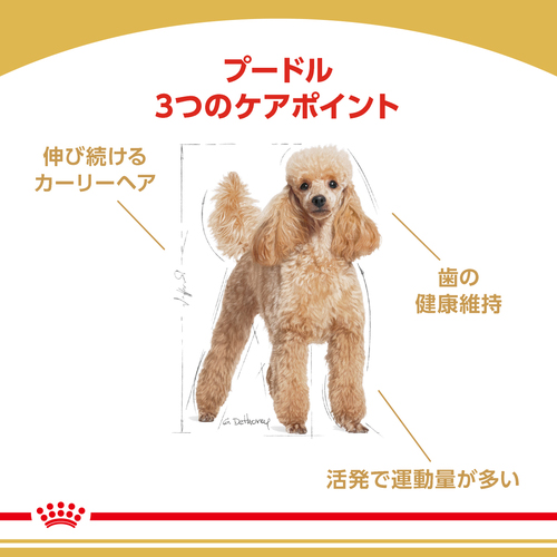 送料無料】ロイヤルカナン BHN プードル 成犬用 7.5kg | ペットゴー