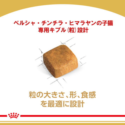 ロイヤルカナン FBN ペルシャ・チンチラ・ヒマラヤン 子猫用 400g