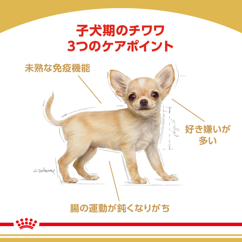 送料無料】ロイヤルカナン BHN チワワ 子犬用 1.5kg | ペットゴー