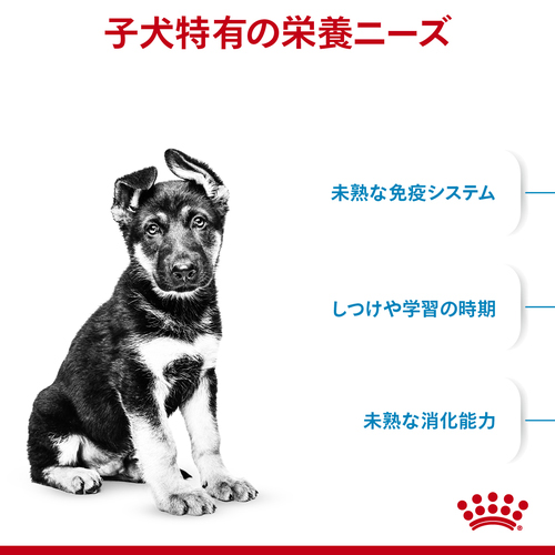 ☆ロイヤルカナンマキシパピー16㎏お値下げ不可 ☆ロイヤルカナンマキシパピー16㎏お値下げ不可 - メルカリ