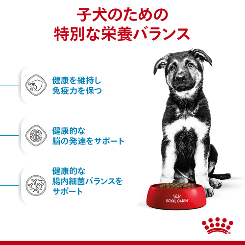 ロイヤルカナン SHN マキシ パピー 15kg | ペットゴー
