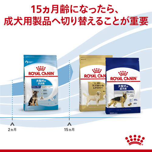 ロイヤルカナン マキシパピー16kg マキシ パピー (大型 子犬用 ドライ） | Royal Canin JP