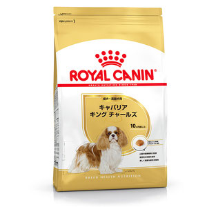 【送料無料】ロイヤルカナン BHN キャバリア 成犬・高齢犬用 3kg