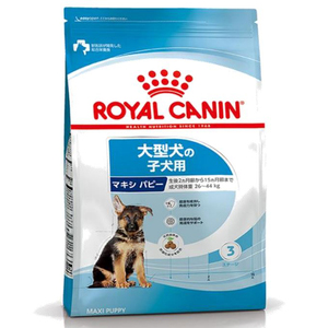 【送料無料】ロイヤルカナン SHN マキシ パピー 10kg