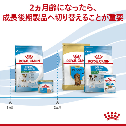 送料無料】ロイヤルカナン SHN ミニ スターター マザー＆ベビードッグ