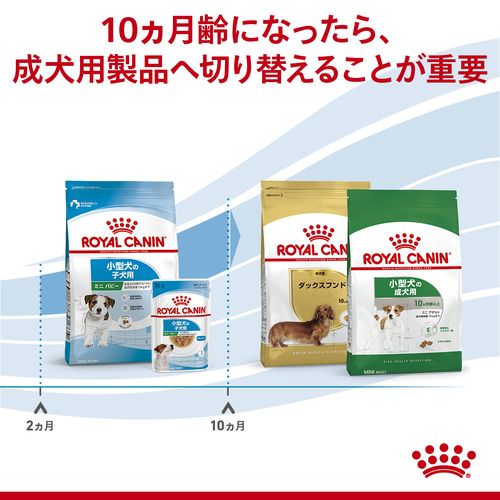ロイヤルカナン SHN ミニ パピー 2kg | ペットゴー