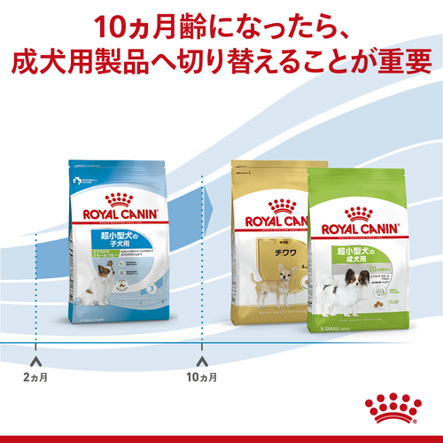 ロイヤルカナン SHN エクストラスモール パピー 800g | ペットゴー