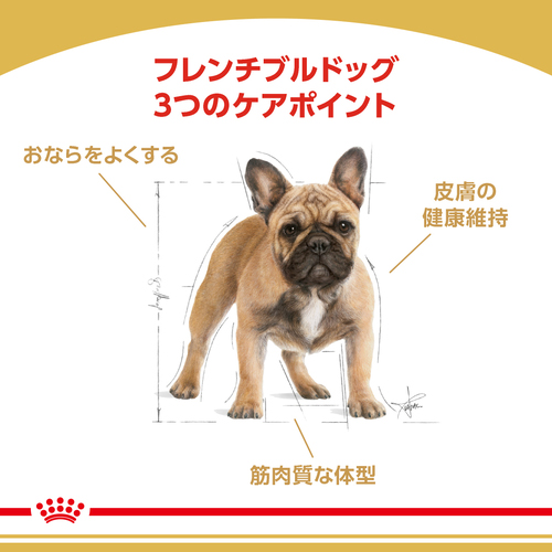 送料無料】ロイヤルカナン BHN フレンチブルドッグ 成犬・高齢犬用 3kg