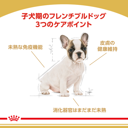 送料無料】ロイヤルカナン BHN フレンチブルドッグ 子犬用 3kg