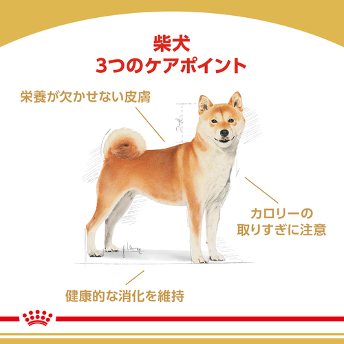 ロイヤルカナン BHN 柴犬 成犬用 800g | ペットゴー